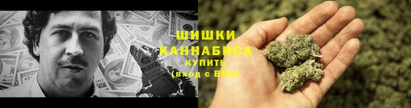 метадон Гусь-Хрустальный