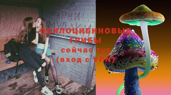 метадон Гусь-Хрустальный