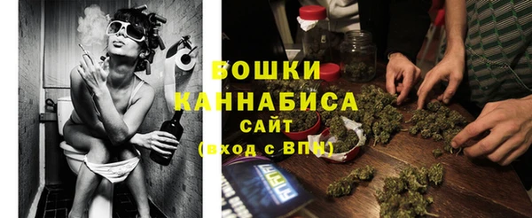 не бодяженный Гусев