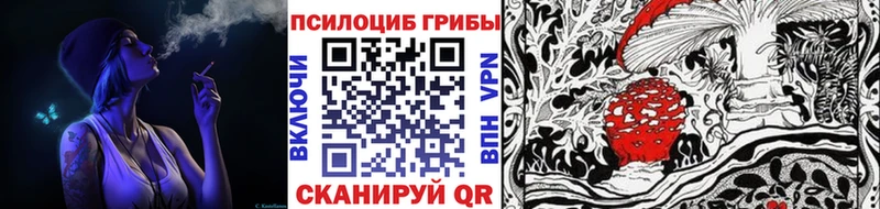 Псилоцибиновые грибы Cubensis Дегтярск